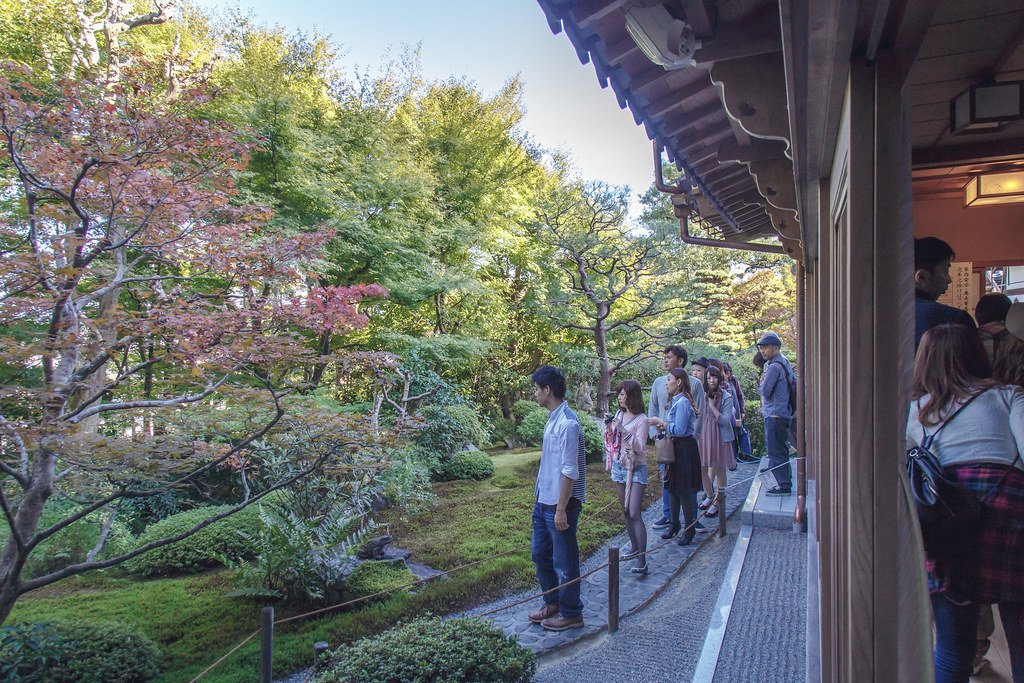 🦗 스즈무시데라(방울벌레 절) / 화엄사(케곤지) 이미지 7